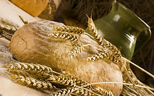 beige wheat with baked bread on white surface
