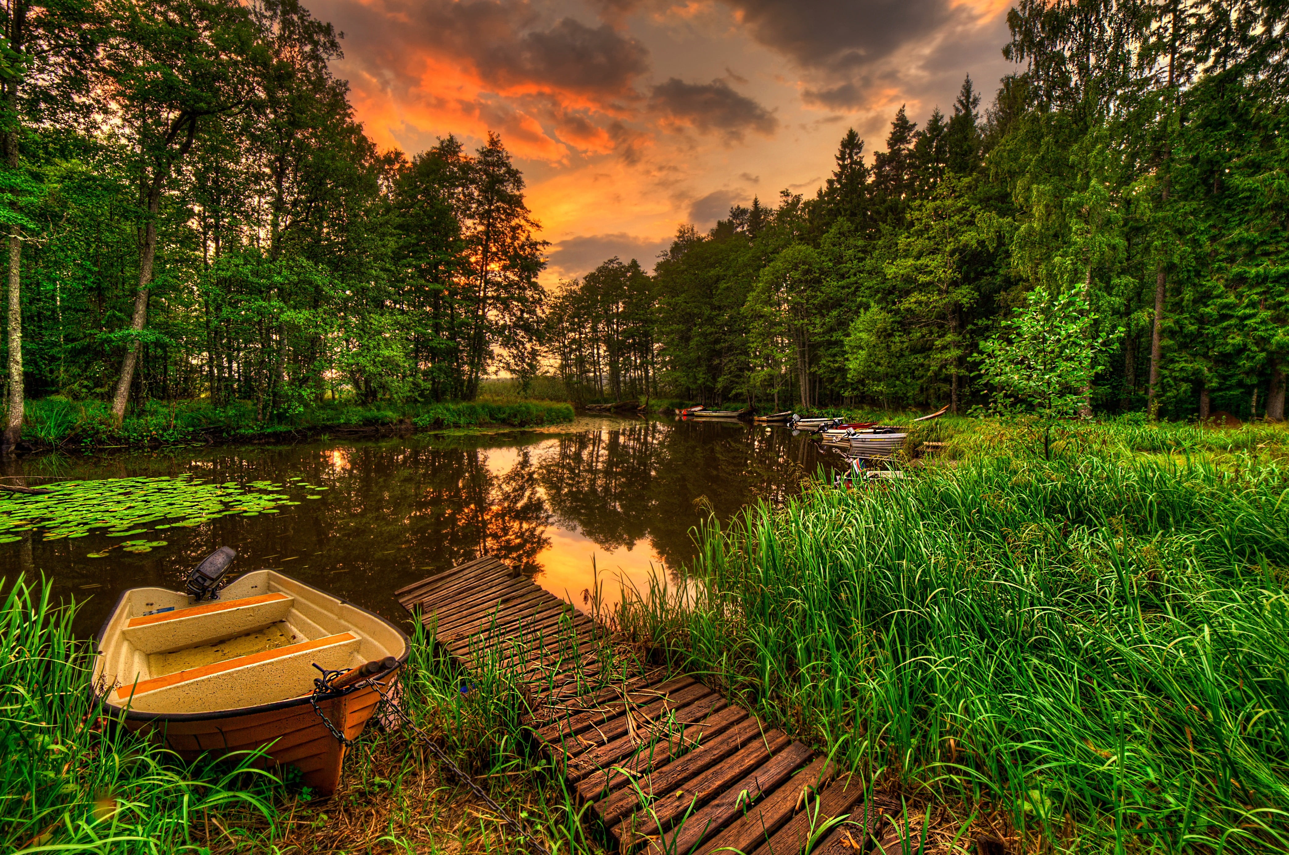 brown wooden picnic table set, landscape, forest, pine trees, lake