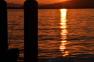 black fishing rod and body of water, sunset, Switzerland, sea