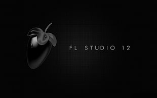 black background with FL Studio 12 text overlay, text, texture, music, Fruity Loops Studio HD wallpaper