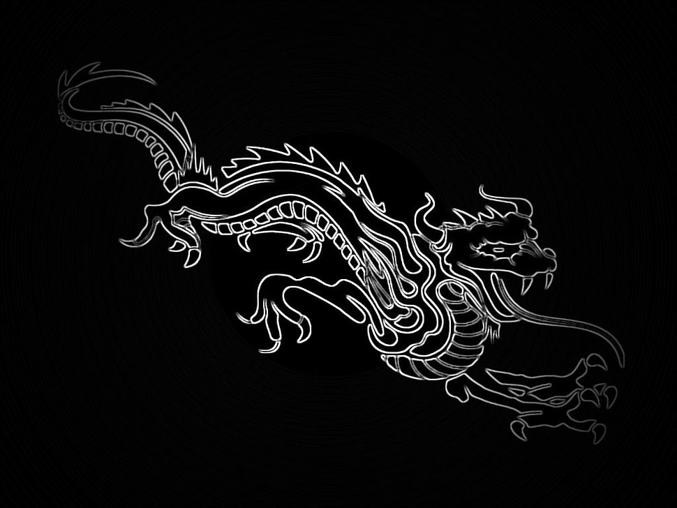white dragon illustration, dragon, artwork HD wallpaper