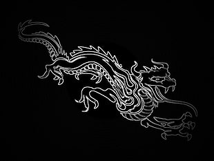 white dragon illustration, dragon, artwork