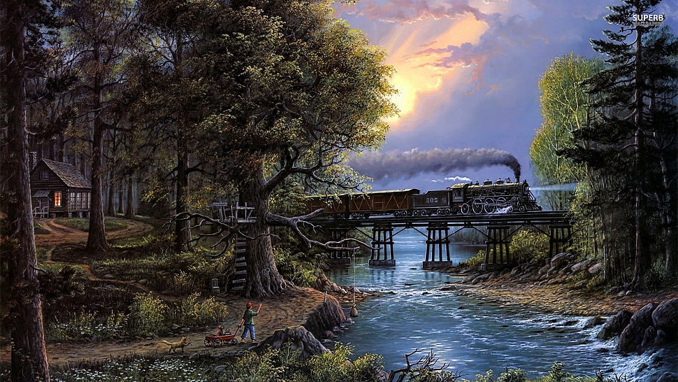train wallpaper, trees, river, stones, Sun HD wallpaper