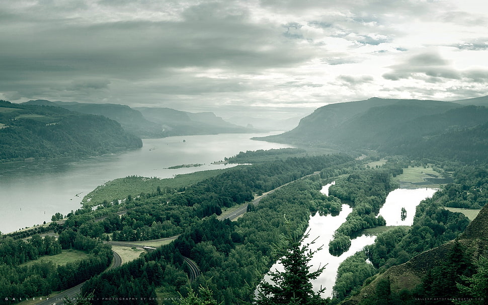 green trees, gorge, green, trees, clouds HD wallpaper