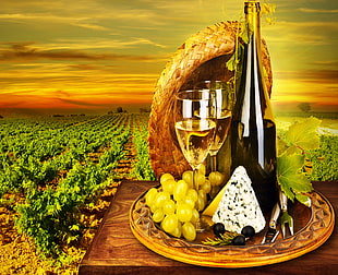 grape wine illustration