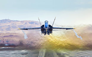 gray fighter jet, aircraft, military aircraft, McDonnell Douglas F/A-18 Hornet, jet fighter