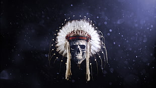 skull with feather headdress wallpaper, feathers, skull, Native American clothing, headband