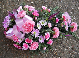 pink Carnations and Daisies arrangement HD wallpaper