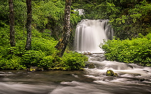 waterfall during daytime, twin falls HD wallpaper