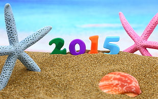 two pink and grey starfish decors, Christmas, New Year, starfish, seashells