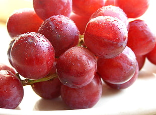 closeup photo of grapes