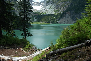 body of water surrounded by trees and mountains