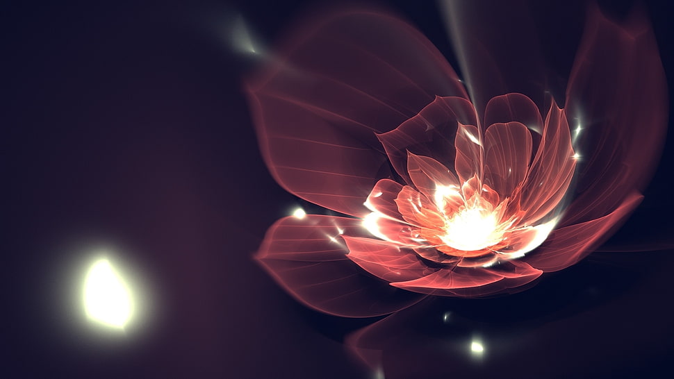 red lighted petal poster HD wallpaper