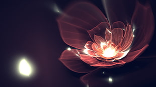 red lighted petal poster