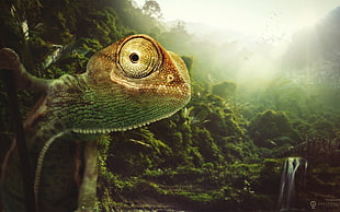 green and brown iguana, digital art, artwork, animals
