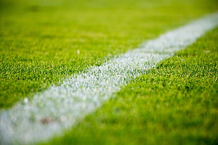 green grass, grass, Soccer Field HD wallpaper