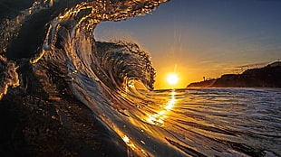 ocean wave during golden hour, waves, sunset, waveforms