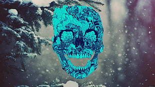 blue skull illustration