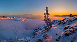 snow covered ground, landscape, snow, sunset HD wallpaper