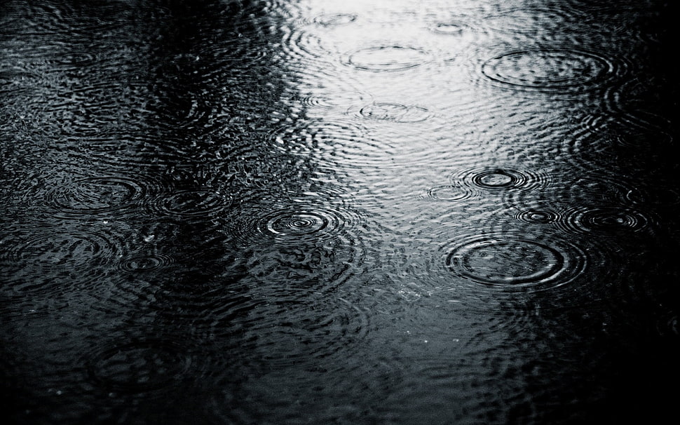 black and gray area rug, photography, nature, water, rain HD wallpaper