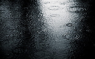 black and gray area rug, photography, nature, water, rain