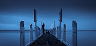 person standing on dock during twilight