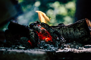 charcoal fire in tilt-shift photography HD wallpaper