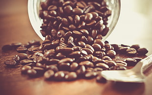 brown coffee beans on table HD wallpaper