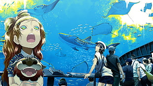blue and black car seat carrier, aquarium, shark, manta rays, colorful HD wallpaper