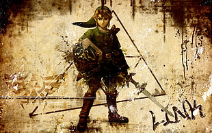 Legend of Zelda holding sword and shield