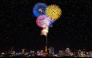 two red and blue flower decors, fireworks, cityscape, stars, night