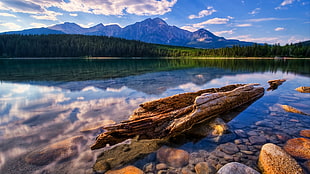 body of water, nature, wood, mountains, reflection