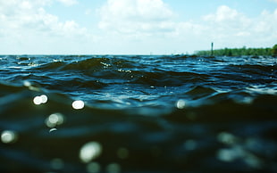 macro shot photography of body of water