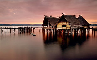 brown wooden house on body of water