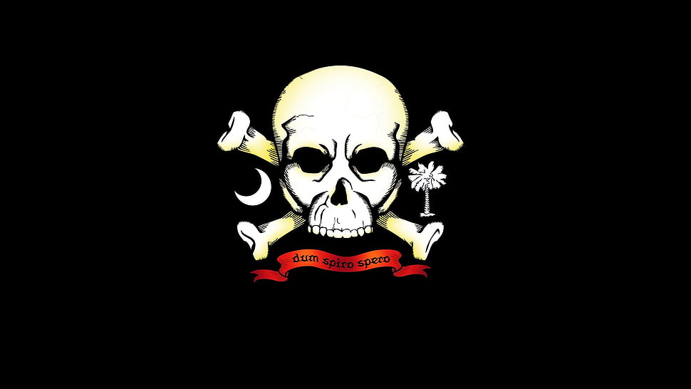 black and white skull illustration, artwork, skull HD wallpaper