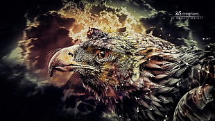 illustration of eagle, eagle, digital art, abstract, birds HD wallpaper