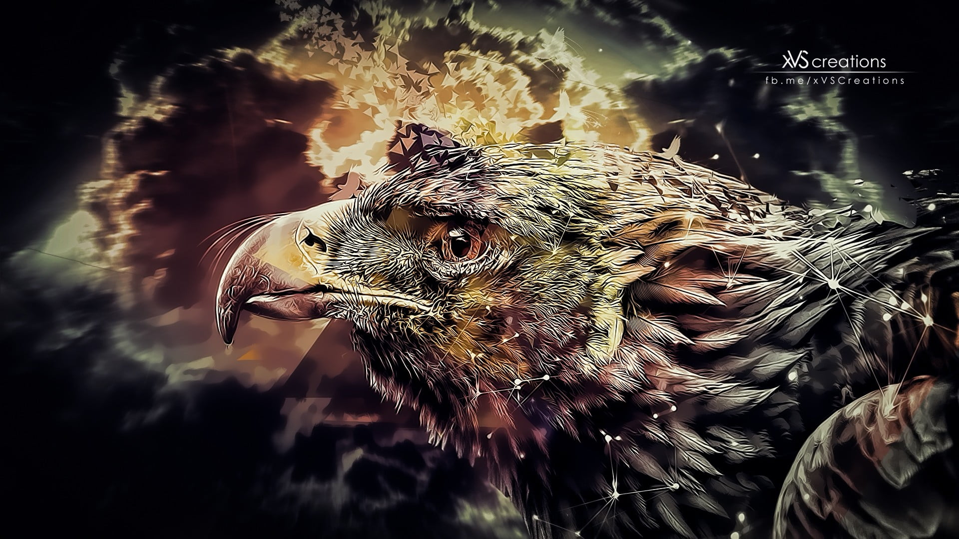 illustration of eagle, eagle, digital art, abstract, birds