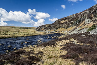 brown and green mountain photography, river tees HD wallpaper