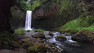 green grass, gray rock, and waterfalls, waterfall, landscape