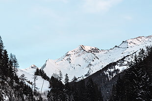 green leafed trees, snow, sky, trees, clouds