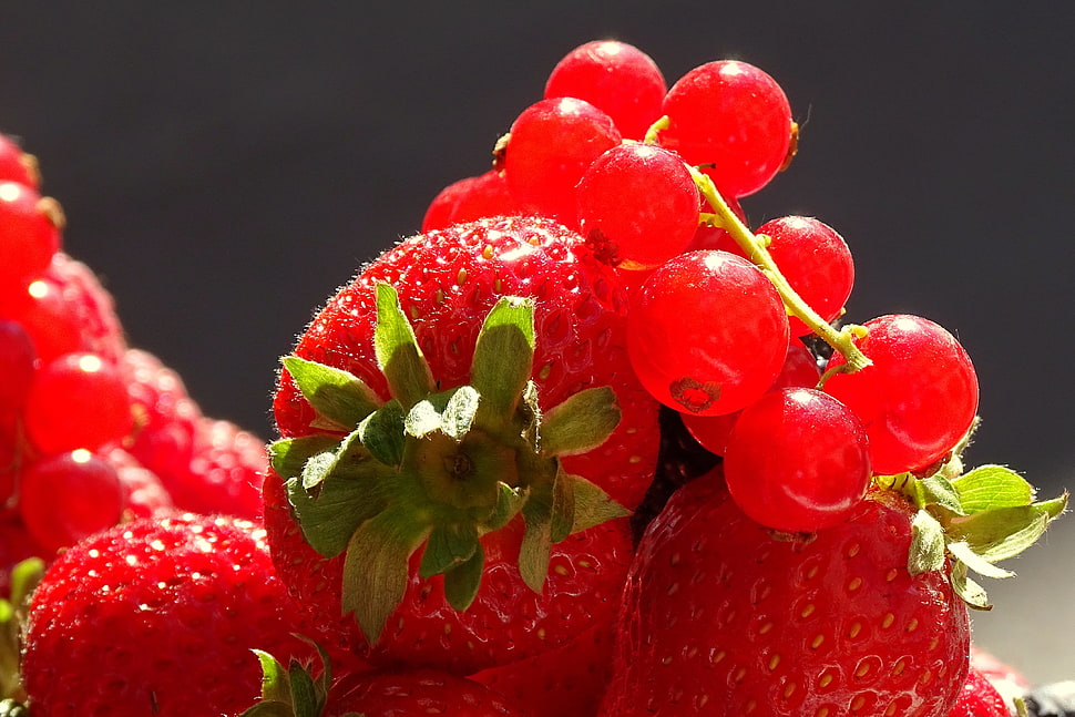 close up photography of strawberries and red cherries HD wallpaper
