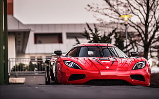 red sports car, car, Koenigsegg Agera, supercars