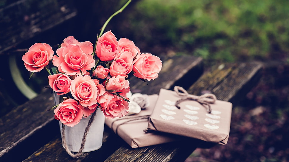 pink artificial flowers, presents, bench, rose, flowers HD wallpaper