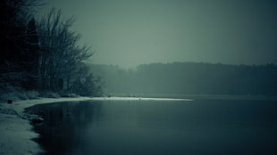 body of water, lake, mist, nature HD wallpaper