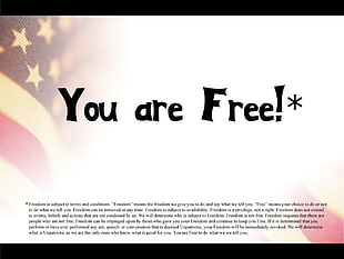 you are free! text, politics, freedom, quote