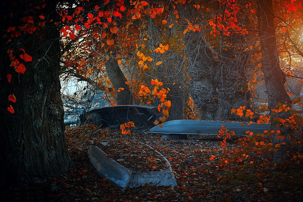gray boat, landscape, nature, trees, fall HD wallpaper
