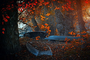 gray boat, landscape, nature, trees, fall