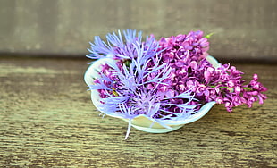 purple petaled flowers on ceramic bowl