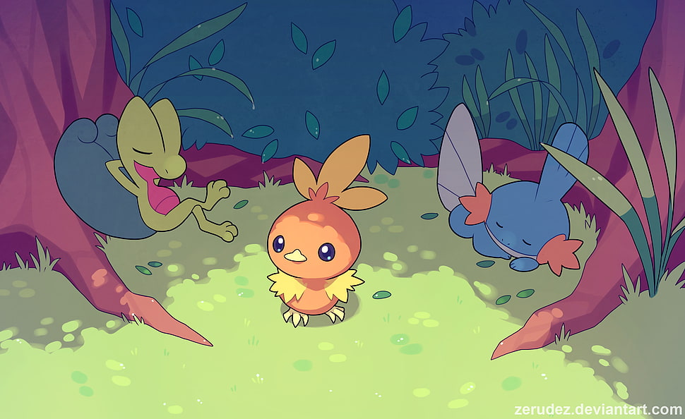 Pokemon cast illustration, Pokémon, Treecko, Mudkip, Torchic  HD wallpaper