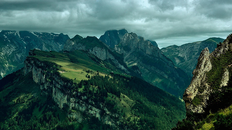 green mountain, green, mountains, landscape, forest HD wallpaper